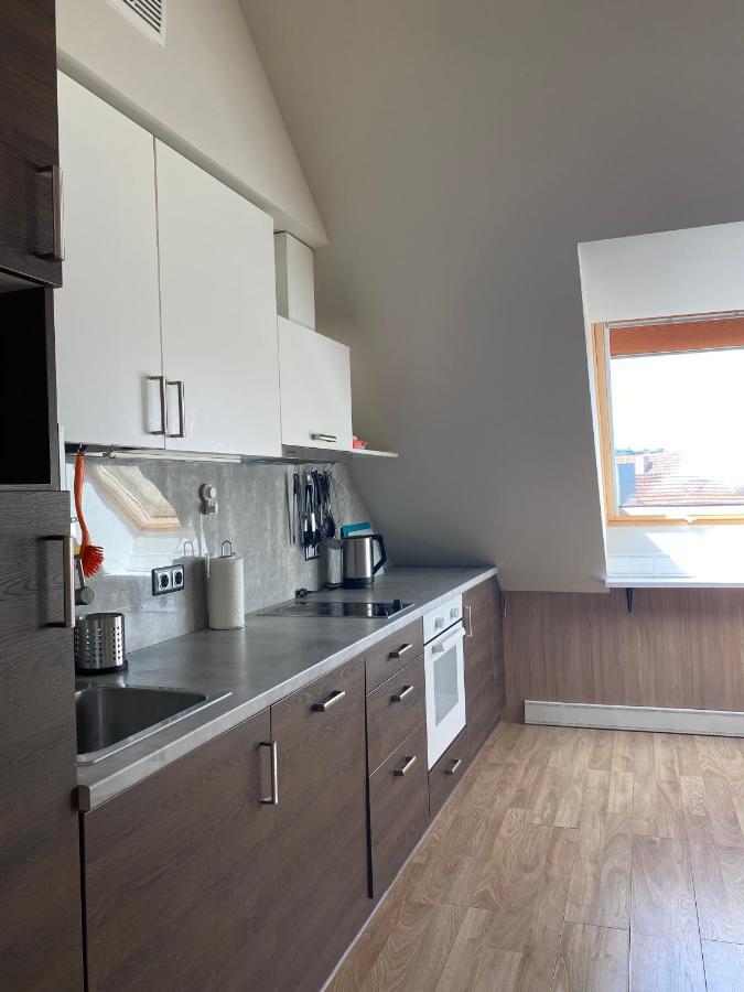 Old Town View Apartment Вільнюс Екстер'єр фото